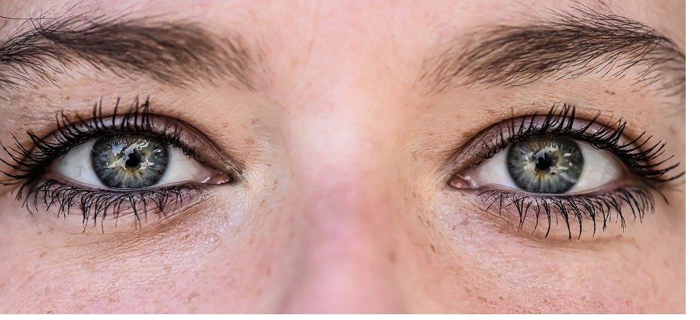 Iridology eye examination - detailed iris analysis for health assessment